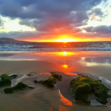 布里萨玛坎特拉斯酒店 2* 大加那利岛拉斯帕尔马斯