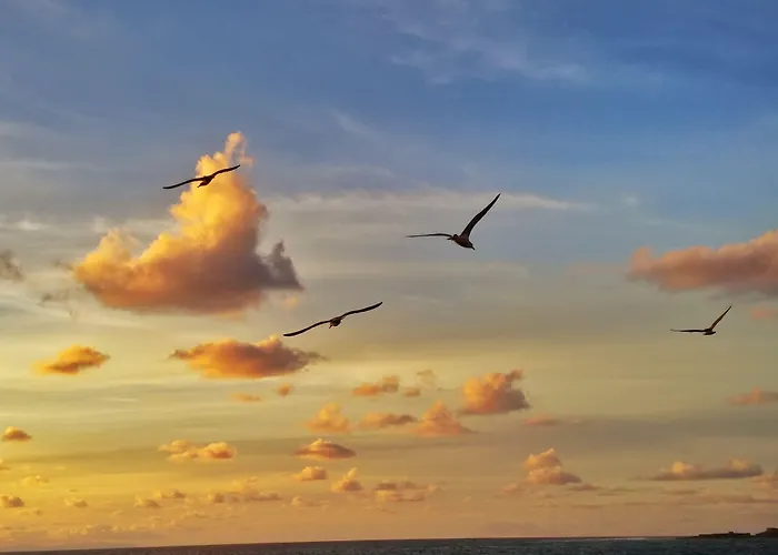 Brisamar Canteras Aparthotel Las Palmas / Gran Canaria